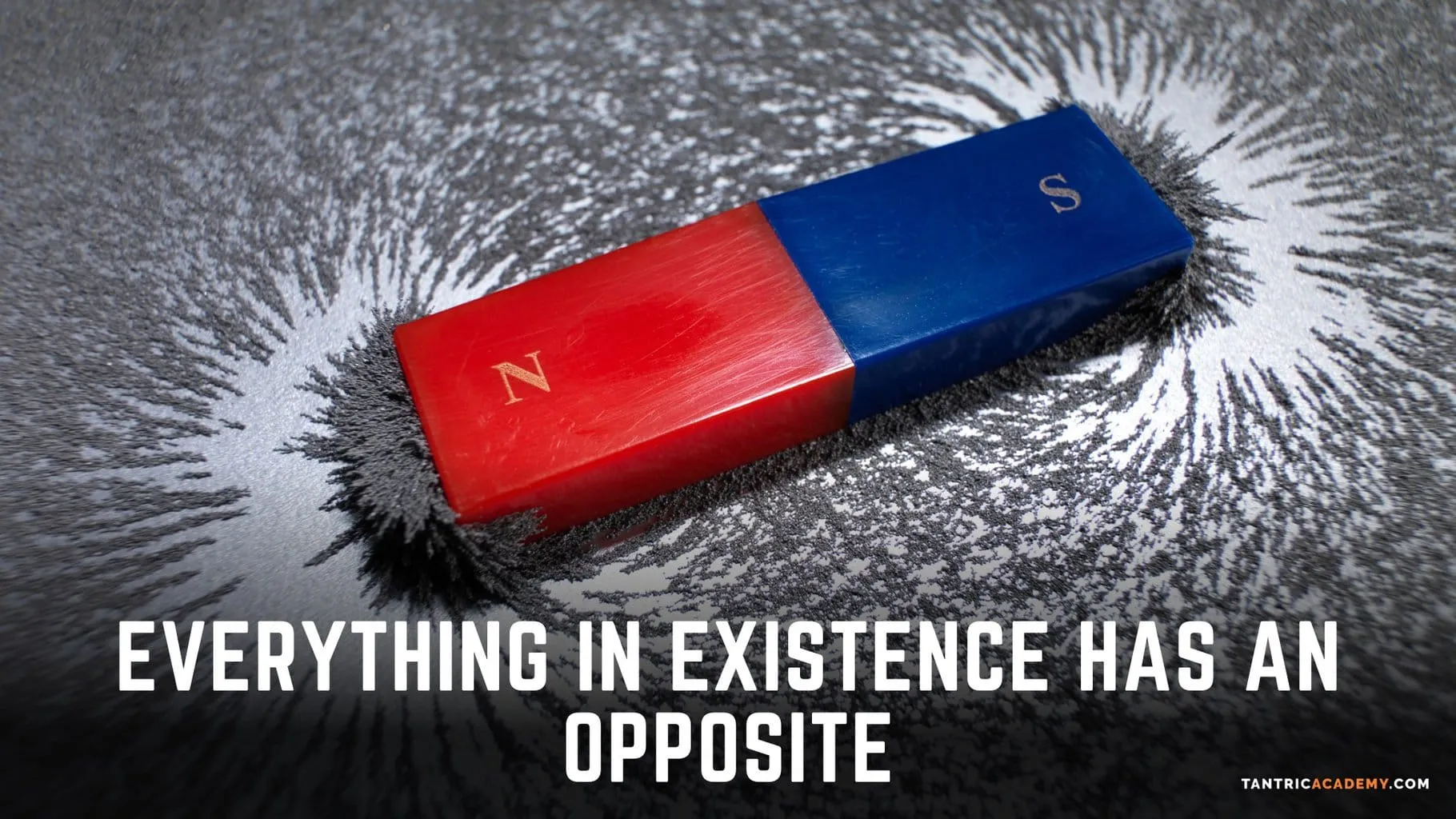 everything in existence has an opposite
